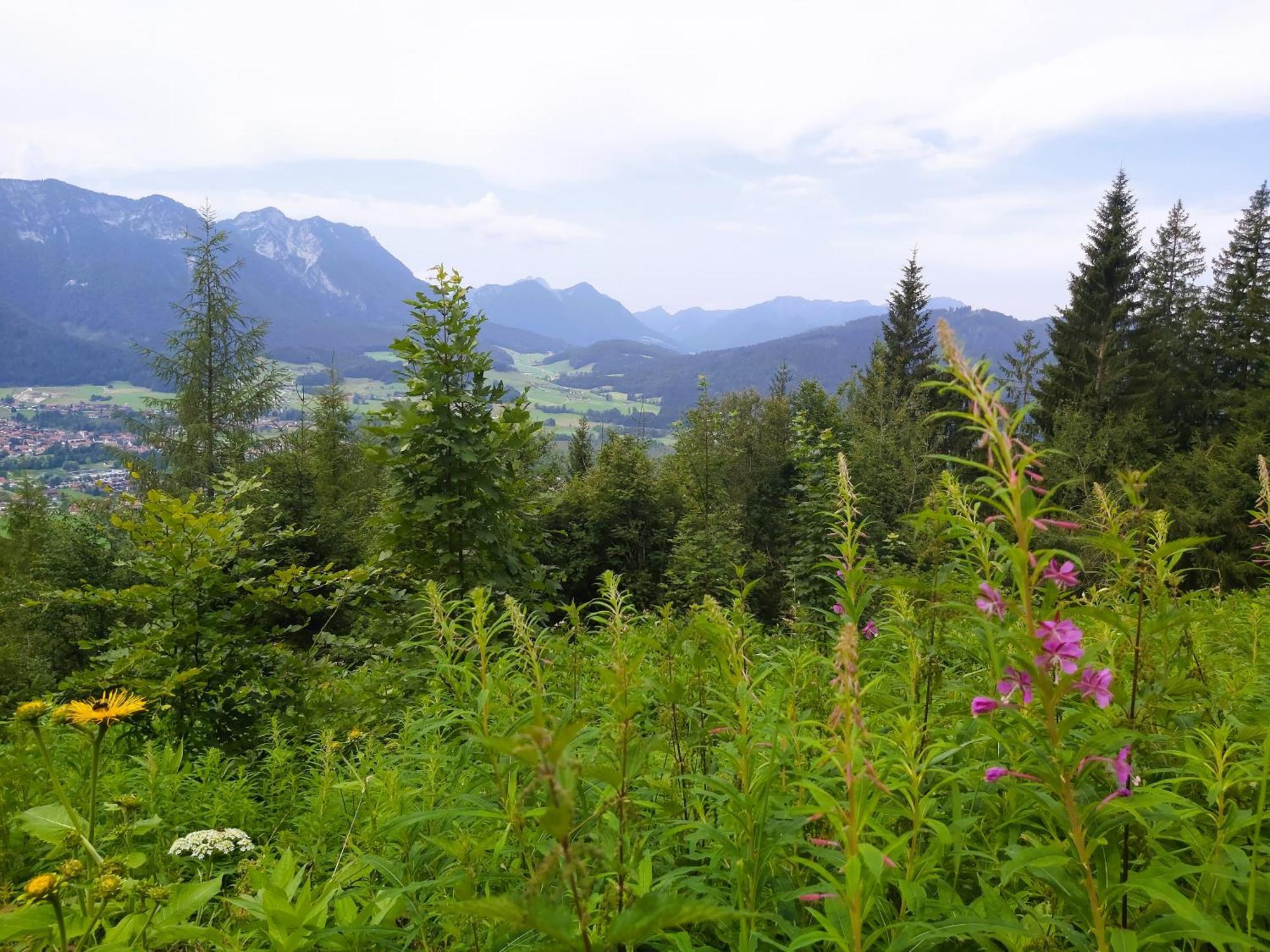 Apartment Andrea - Chiemgau Karte อินเซลล์ ภายนอก รูปภาพ