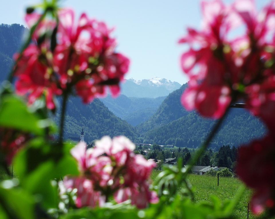 Apartment Andrea - Chiemgau Karte อินเซลล์ ภายนอก รูปภาพ